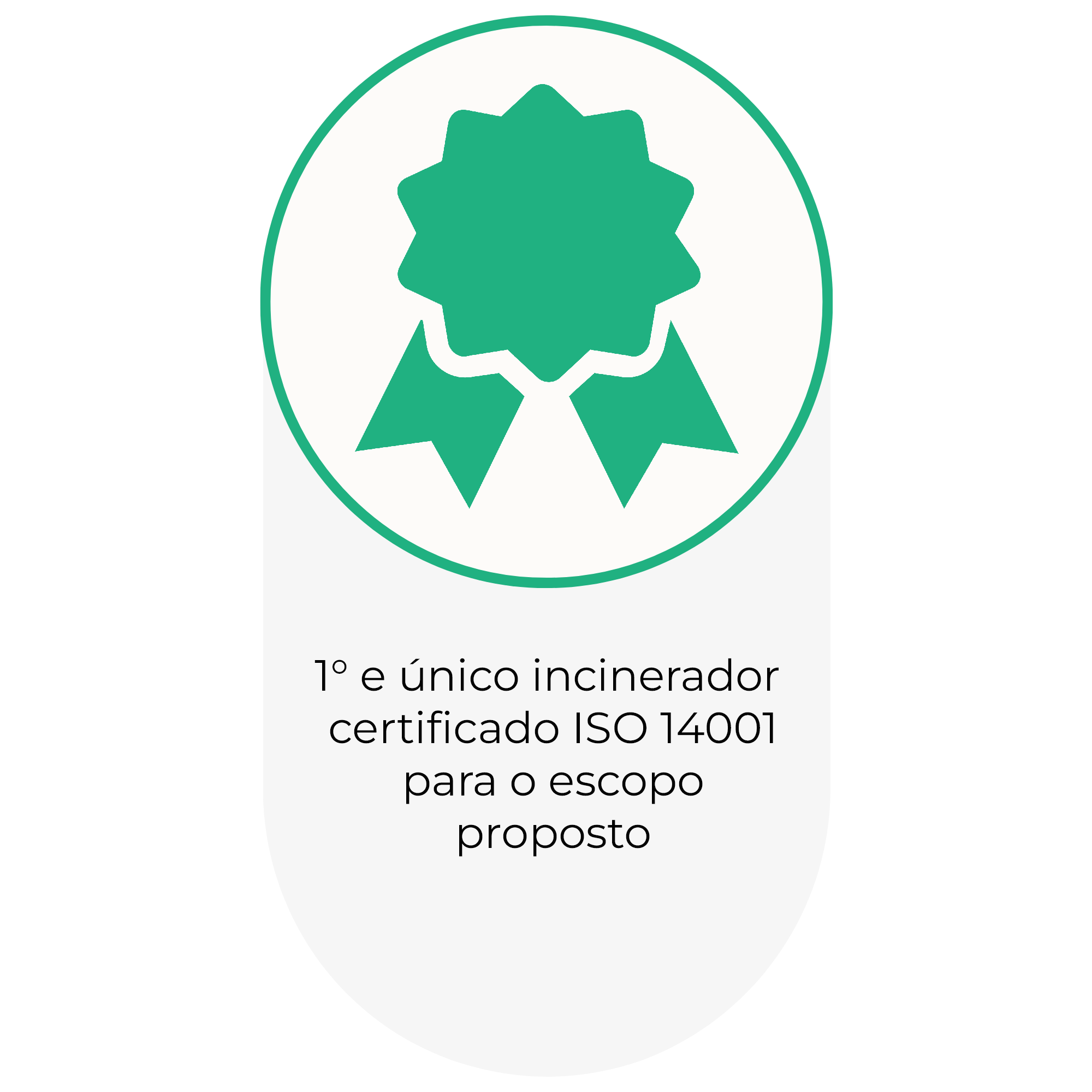 incine1